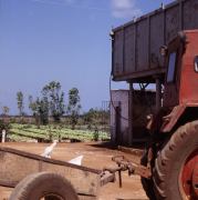 Farm near C&aacute;rdenas