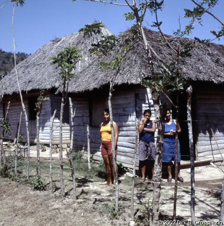 Sierra Maestra 6 (Click for next image)