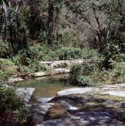 Sierra Maestra 8