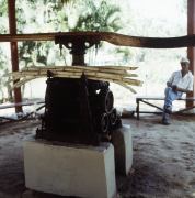 Sugar Mill