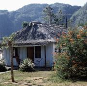 Valle de Vi&ntilde;ales 3