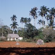 Valle de Vi&ntilde;ales 5