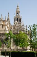Catedral de Santa Maria de la Sede