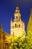 Catedral by Night
