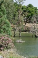 El Chorro