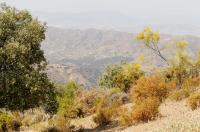 Montes de Malaga