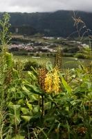 Near Furnas