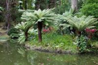 Parque Terra Nostra
