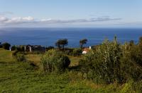 Coast Near Cedros