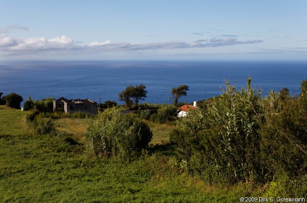 Coast Near Cedros (Click for next group)