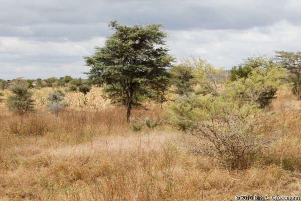 Near Arusha (Click for next image)