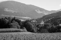 Die Lamprechtsburg aus der Ferne