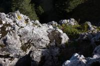Breitenstein